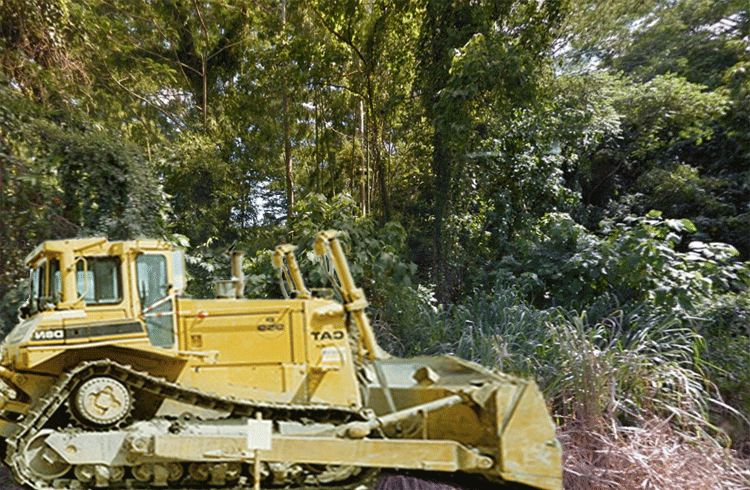 D8 caterpillar tractor clearing the jungle