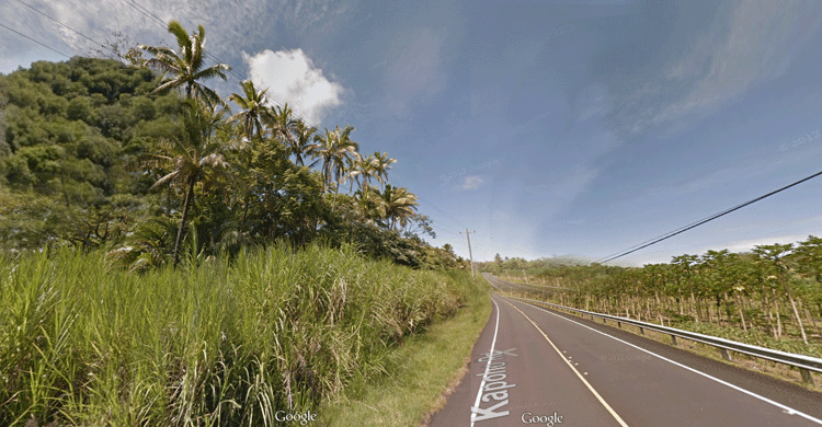 Kapoho Road, Puna District Big Island